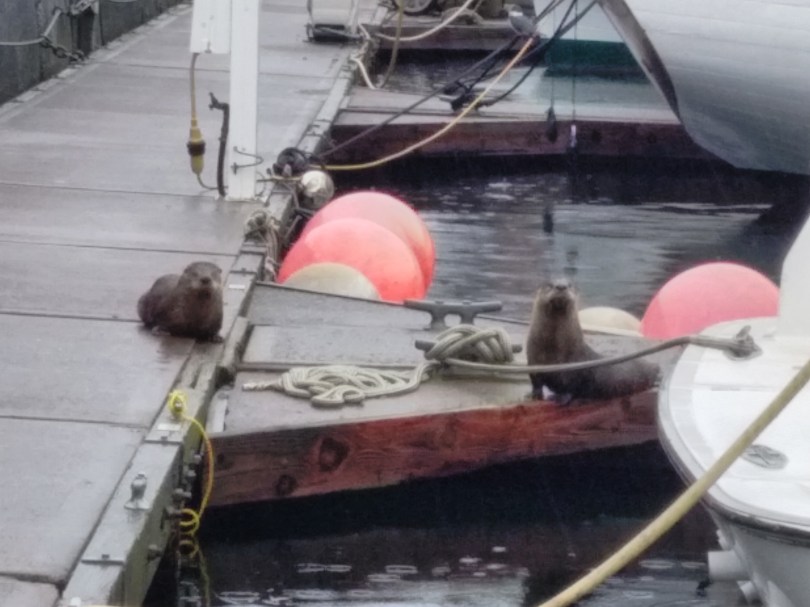 img_20150314_082251_hdr